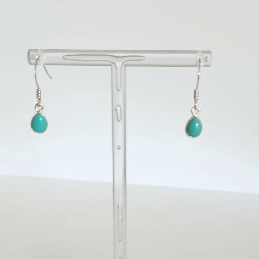 Sonoran Turquoise Earrings in Sterling Silver